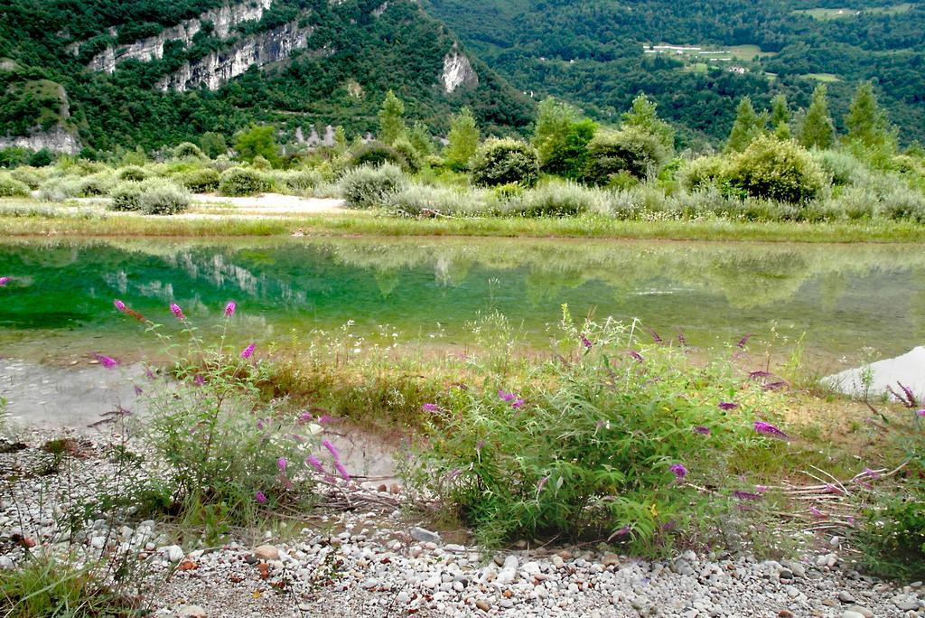Locanda Del Re Feltre Luaran gambar